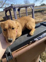 processed/0f1cd27c-c8a1-4a52-908a-3b5c8b249fb8/listing/ed072a18-7923-4020-ad26-70314019eed6/a767c58a-4fc7-48ab-9e0a-68c9395d366c