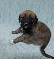 processed/0f21c743-5985-4537-baf0-1ed27d98dbb2/listing/1c583b62-bc75-4b9b-828e-e5f6608e1c8f/8b965773-b035-47ed-b5fc-5ee5ec6a451a