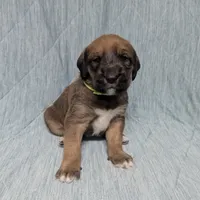 processed/0f21c743-5985-4537-baf0-1ed27d98dbb2/listing/1c583b62-bc75-4b9b-828e-e5f6608e1c8f/b33baaa7-1677-4aad-8c99-3225d3bdd87a