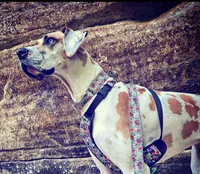 processed/0f21c743-5985-4537-baf0-1ed27d98dbb2/listing/1c583b62-bc75-4b9b-828e-e5f6608e1c8f/fdfd6fdd-12e5-4c84-b656-053294eea713