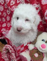 processed/0f21c743-5985-4537-baf0-1ed27d98dbb2/listing/748bf92c-1dc1-47b8-8e7a-4de43daa53a2/03e1c94d-439a-4ee2-9a12-f805133714a9