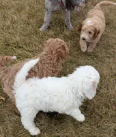 processed/0f21c743-5985-4537-baf0-1ed27d98dbb2/listing/81c5012a-98a6-4a18-9ee2-5e39809fb04a/5d76072d-f363-405d-902d-75ebe42205ba