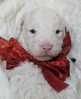 processed/0f21c743-5985-4537-baf0-1ed27d98dbb2/listing/81c5012a-98a6-4a18-9ee2-5e39809fb04a/9945eb85-15cf-43ab-a161-da461b1cb864