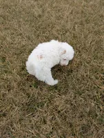 processed/0f21c743-5985-4537-baf0-1ed27d98dbb2/listing/81c5012a-98a6-4a18-9ee2-5e39809fb04a/c0d8f820-f112-472d-acf5-348c4ee9c076