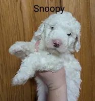 processed/0f21c743-5985-4537-baf0-1ed27d98dbb2/listing/81c5012a-98a6-4a18-9ee2-5e39809fb04a/eb9c22ae-e3b5-4917-bb24-f67d544d11cd