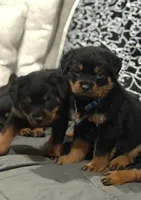 processed/0f2d7281-4e3a-4211-a46f-56c225a25e17/facility/0e4b6698-3f5c-4cc4-a48c-6ad7628ac31f