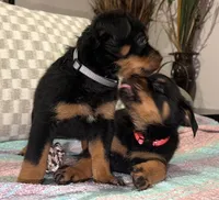 processed/0f2d7281-4e3a-4211-a46f-56c225a25e17/facility/57815a5f-8ccc-40a0-872e-a3110e31c4d6