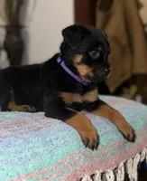 processed/0f2d7281-4e3a-4211-a46f-56c225a25e17/facility/7a317b47-246a-45cc-93e2-d519eeb92f68