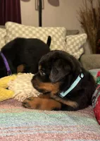 processed/0f2d7281-4e3a-4211-a46f-56c225a25e17/facility/dd4f4e48-1993-4818-b542-8195277d2bf2