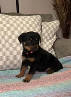 processed/0f2d7281-4e3a-4211-a46f-56c225a25e17/facility/dec19d9a-b37c-4725-a39f-7fb8a7e201ad