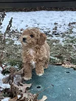 processed/0f3322f3-a8cb-4108-9e89-1b66b65db22f/listing/b514c4ed-69bc-4259-ac8d-ec80596e3284/2e42bd48-aa17-41c8-ada1-c577e2a14408