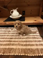 processed/0f3322f3-a8cb-4108-9e89-1b66b65db22f/listing/b514c4ed-69bc-4259-ac8d-ec80596e3284/36b44637-156f-45ed-89fa-7c6c4c317dd4