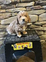 processed/0f3322f3-a8cb-4108-9e89-1b66b65db22f/listing/b514c4ed-69bc-4259-ac8d-ec80596e3284/3d21c82d-8574-473e-a64d-04f464e5ac23