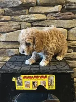 processed/0f3322f3-a8cb-4108-9e89-1b66b65db22f/listing/d18873ca-bf48-4870-beaa-1f1483853273/0e3ceb08-fb06-47bf-b90c-4f932a50e590