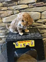 processed/0f3322f3-a8cb-4108-9e89-1b66b65db22f/listing/d18873ca-bf48-4870-beaa-1f1483853273/237a04a4-833e-45b0-9580-74e969949dba