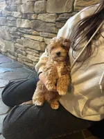 processed/0f3322f3-a8cb-4108-9e89-1b66b65db22f/listing/d18873ca-bf48-4870-beaa-1f1483853273/4954984b-00c3-4625-a51d-53986f1a99c4