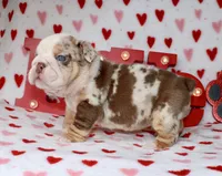 processed/0f368768-2229-4b3d-8054-0d80484e0a03/listing/a78fdc33-388f-4aca-8c34-c409b11b66e4/80a22085-499f-4ca8-8255-0f08b0e34ef7