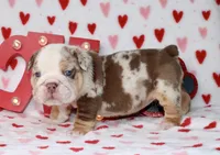 processed/0f368768-2229-4b3d-8054-0d80484e0a03/listing/a78fdc33-388f-4aca-8c34-c409b11b66e4/83f882ef-db98-431c-9130-f83624c2585a