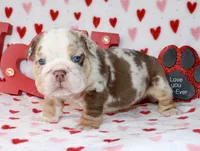 processed/0f368768-2229-4b3d-8054-0d80484e0a03/listing/a78fdc33-388f-4aca-8c34-c409b11b66e4/d3b74d53-f69d-45a4-9973-a454b5b543f1