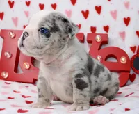 processed/0f368768-2229-4b3d-8054-0d80484e0a03/listing/ed5a81e3-a2cf-45f9-87ab-ce0555f67edc/16d7dd51-734d-4606-89b0-b41547e9ead4