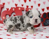 processed/0f368768-2229-4b3d-8054-0d80484e0a03/listing/ed5a81e3-a2cf-45f9-87ab-ce0555f67edc/2ccca8da-da57-4415-a2a3-3a7fe1238567