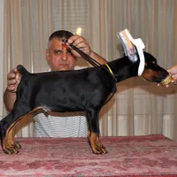 processed/0f3767e1-0314-4ff1-8e26-896fa85c7ac9/facility/15d7ff45-4e34-4acb-9093-f703fcaeda16