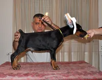 processed/0f3767e1-0314-4ff1-8e26-896fa85c7ac9/facility/15d7ff45-4e34-4acb-9093-f703fcaeda16