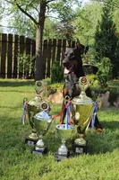 processed/0f3767e1-0314-4ff1-8e26-896fa85c7ac9/facility/3bb95ae0-910f-476f-982c-2a99611b8fb1