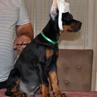 processed/0f3767e1-0314-4ff1-8e26-896fa85c7ac9/facility/4fcda5aa-b5a2-40f7-80a0-e913d22380a3