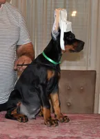 processed/0f3767e1-0314-4ff1-8e26-896fa85c7ac9/facility/4fcda5aa-b5a2-40f7-80a0-e913d22380a3