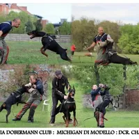 processed/0f3767e1-0314-4ff1-8e26-896fa85c7ac9/facility/5c22c7ec-9c74-4bdf-a2ff-26c6b69c8be3