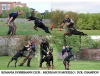 processed/0f3767e1-0314-4ff1-8e26-896fa85c7ac9/facility/5c22c7ec-9c74-4bdf-a2ff-26c6b69c8be3