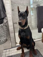 processed/0f3767e1-0314-4ff1-8e26-896fa85c7ac9/facility/8578602e-3b2b-4760-9575-8cf9fcef286e