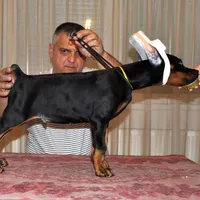 processed/0f3767e1-0314-4ff1-8e26-896fa85c7ac9/facility/8cca0419-6e9b-4a09-8879-9ec1c50069d0