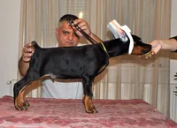 processed/0f3767e1-0314-4ff1-8e26-896fa85c7ac9/facility/8cca0419-6e9b-4a09-8879-9ec1c50069d0