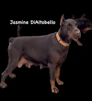 processed/0f3767e1-0314-4ff1-8e26-896fa85c7ac9/facility/a38dd652-fbc7-4297-ac36-e678d3c5d432