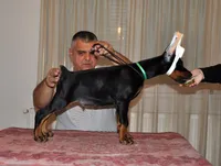 processed/0f3767e1-0314-4ff1-8e26-896fa85c7ac9/facility/a6decab4-0777-459d-9289-e14adea0238e