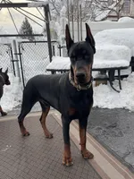 processed/0f3767e1-0314-4ff1-8e26-896fa85c7ac9/facility/e52ff825-7e64-4375-8e2b-88a021b9272f