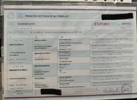 Princess Octavia DiAltobello , a female Doberman Pinscher for sale in Mount Vernon, NY – Photo 6 of 8