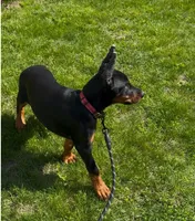 processed/0f3767e1-0314-4ff1-8e26-896fa85c7ac9/listing/4358b40b-9e64-4b23-95ab-79b847de16ea/3650ebff-3092-4825-a551-a4a9f15f9ca5