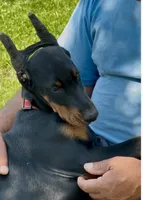 processed/0f3767e1-0314-4ff1-8e26-896fa85c7ac9/listing/4358b40b-9e64-4b23-95ab-79b847de16ea/439d4124-affc-4a37-959b-8350c32f7cac