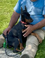 processed/0f3767e1-0314-4ff1-8e26-896fa85c7ac9/listing/4358b40b-9e64-4b23-95ab-79b847de16ea/4e473117-0996-4641-9e1b-c683243059d3