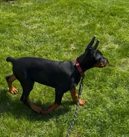 processed/0f3767e1-0314-4ff1-8e26-896fa85c7ac9/listing/4358b40b-9e64-4b23-95ab-79b847de16ea/74a7cd0d-cf87-480b-b5a4-ee1f252d77c6