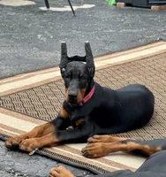 processed/0f3767e1-0314-4ff1-8e26-896fa85c7ac9/listing/4358b40b-9e64-4b23-95ab-79b847de16ea/b6cae474-405f-43d9-86cc-c7d76d9b6d59