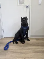 processed/0f480faa-fc72-4ee1-8d79-514c398d891e/listing/9ad3bb68-9544-4011-b2eb-5c0c01ec7a0f/1605bd72-459f-4ebc-aa52-d14b116148d9