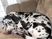 processed/0f4baa36-dae3-4609-97fd-6a253b859869/listing/3637bce9-920a-487d-be4d-ef4444080bb0/a697f945-1668-4eaf-8a30-817a8ee925a2