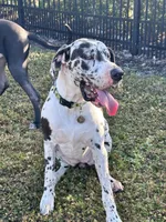 processed/0f4baa36-dae3-4609-97fd-6a253b859869/listing/3637bce9-920a-487d-be4d-ef4444080bb0/cd3b3926-82a3-4dbf-8222-ca237c2cbfe5