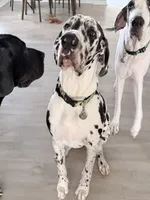 processed/0f4baa36-dae3-4609-97fd-6a253b859869/listing/3637bce9-920a-487d-be4d-ef4444080bb0/d1d4aac4-41b4-4309-b7a3-3c4994ef4764