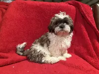 processed/0f59d7b9-5285-4770-98fa-5ce89dd6c7e5/listing/7f3f70d3-ee11-4b05-a6e0-00cd5325eb83/45cd3b08-d548-4fb9-bafc-79b00cfea82f