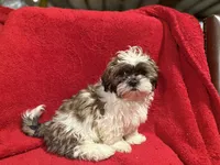 processed/0f59d7b9-5285-4770-98fa-5ce89dd6c7e5/listing/7f3f70d3-ee11-4b05-a6e0-00cd5325eb83/f501ae3b-e2b5-461f-8663-a177c033a2e8